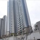 인천 검단신도시 6억 이하 아파트 비교, 더힐 vs 펠리체 vs 파라곤