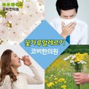 코비한의원 네이버블로그