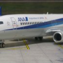 (ANA OFFICAL) ANA B737-800(JA74AN) 이미지