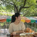팽나무 민박 이미지