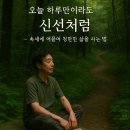 신선만나 이미지