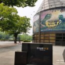 여름방학 공룡 뮤지컬 점박이 공룡대모험 뒤섞인 세계 (우리금융아트홀) 후기