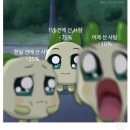이너피스 이미지