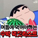 수박 먹킷리스트 이미지