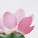 5282, 흔적.. 이미지