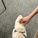 포동슈퍼