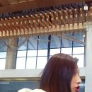 연경 Daum카페