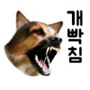 디스크 독 연구소 이미지