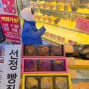 월화공원(부흥마을) | 강릉 중앙시장 먹거리 맛집 기념품 추천 월화거리 먹거리 강릉오빠 감자파이