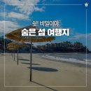 짱뚱어 해변 주변 돈나무길 조성사업 | 쉿! 비밀이야😘 여주 강천섬부터 신안 증도까지 나만 알고 싶은 숨은 섬 여행지