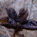 산중농원 이미지