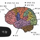 대암초등학교 이미지