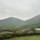 피아골 숲숨집 이미지