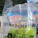KT김천지점 | 2025 김천 김밥축제, 2회차 지역축제의 장점과 단점