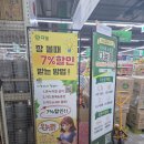 우리김치