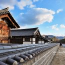 우물청과 이미지