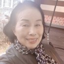 일석이조 티스토리