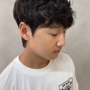 신정수석 이미지