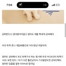 해외취업 정보 알아보려면 무슨 카페 가입해야해? 이미지