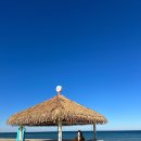 더비치횟집 이미지