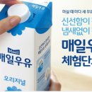 매일우유 - 옥천군 | 매일우유
