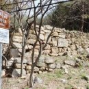 영산신씨 초당공파 이미지