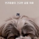 조타 생활과학연구소 이미지