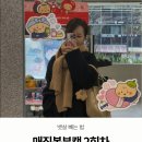 캣데이 | 매직복부캣 2회차 Zero 스테로이드 뱃살 빼는 법 복부 지방분해주사 후기