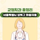 서울특별시 성북구 하월곡동 교정치과 총정리