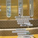 주식회사 한섬 | 대구 더현대 기안84 기안도(奇案島) 전시회 기본정보, 관람후기