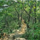 25년9월 64산악회 문경 조령 1. 2 관문 . 봉명산 트레킹(2025년9월27일) 이미지