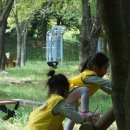 무지개숲어린이집 - 고양시 일산동구 | 무지개숲어린이집