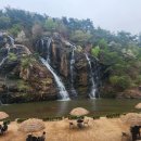 숲속쉼터 이미지