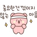 엘바디핏 이미지