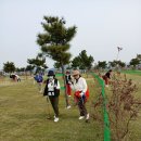 2,025년 10월 30일(목) 36홀 대부도 파크골프장 후기담. 이미지