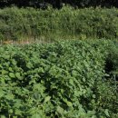 무성농장 이미지