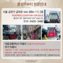 엘로이 뷰티