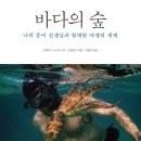 바다의 숲속 이미지