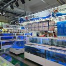 대왕회식당 | 삼척 중앙시장 맛집 삼척 여행 먹거리 추천 대왕횟집 회포장 후기