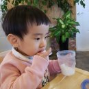완도 정든 펜션 | 제주한달살기 (30) 제주도푸른밥, 어머니빵집, 제주항에서 육지로