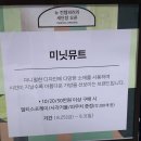 미닛뮤트 트립베어 구매 후기 : 미닛뮤트 부산 신세계 센텀 매장 오픈 방문기