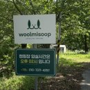 아차울관광농원 | [채집통🐝] 포천 애견동반 대형카페 울미숲 내돈내산｜반려인들에게 무조건 추천하는 서울근교 대형카페