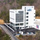 데일리모터스 이미지