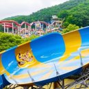 (주)대명월드 이미지