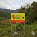 웃말농장 이미지