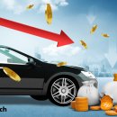 (주)단바이오텍 이미지