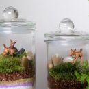 포항중앙초등학교 이미지