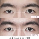 서연성형외과의원 이미지