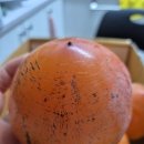 송담추어탕예천점 이미지