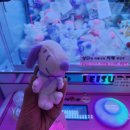 CU 경성부경점 이미지